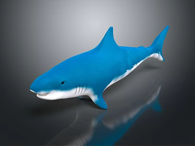 Realistic Blue Shark Model Displayed On Dark Background With Clear Reflection 3d model