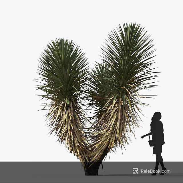 Heart Shaped Yucca Plant In Outdoor Garden With Silhouette Figure Nearby 3d model 