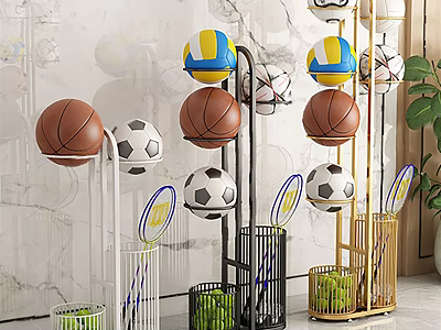 Sports Equipment Organizer with Basketballs Volleyballs Soccer Balls Badminton Rackets and Storage Baskets 3d model
