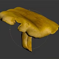 Bright Yellow Fresh Vegetable Mushroom with Smooth Surface and Dark Background Reflection