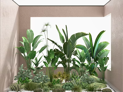 Indoor Green Plants Arrangement With Natural Light Through Window In Modern Interior 3d model