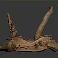 Natural Wooden Art Sculpture With Driftwood Branches And Organic Shape Design