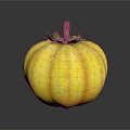 Fresh Yellow Striped Pumpkin With Green Leaves And Stem On White Background