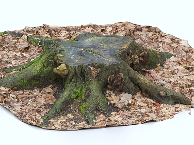 Natural Stone and Wood Stump Surrounded by Fallen Leaves and Green Moss 3d model
