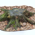 Natural Stone and Wood Stump Surrounded by Fallen Leaves and Green Moss