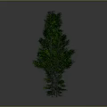 Green Trees With Different Shapes And Sizes Arranged In A Row On Grey Background