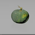 Fresh Organic Green Pumpkin With Natural Stem And Shiny Surface On Dark Background