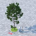 Arbor with Green Lawn Human Model and Measuring Pole on Gray Paved Ground 3d model