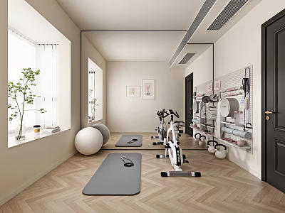Modern Recreation Room Interior With Yoga Mat Exercise Bike Dumbbells And Yoga Ball 3d model