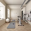 Modern Recreation Room Interior With Yoga Mat Exercise Bike Dumbbells And Yoga Ball