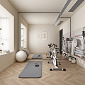 Modern Gym Home Gym 3d model