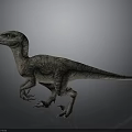 Realistic Velociraptor Dinosaur 3D Model With Detailed Scaly Skin And Dynamic Posture