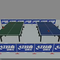 DHS Green And Blue Ping Pong Tables Sports Equipment For Indoor Games