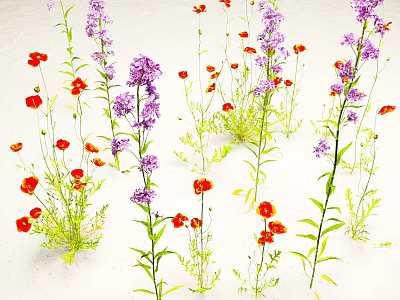 Vibrant Red and Purple Flowers with Green Stems and Leaves on White Background 3d model
