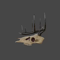 Detailed Deer Skull with Intricate Antlers and Natural Bone Texture