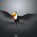 Modern bird toucan Togo toucan large toucan 3d model