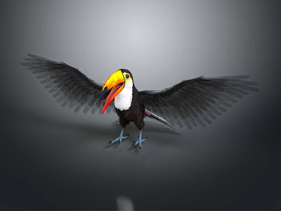 Toucan with Colorful Yellow Red Beak Spreading Black Wings on Gray Background 3d model