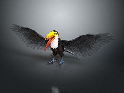 Modern bird toucan Togo toucan large toucan 3d model