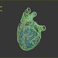 Human Heart 3D Rendered Blue With Yellow Vascular Texture Detailed Anatomical Chest Organ