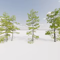 Three Different Arbor Trees With Green Foliage Against Blue Sky On White Ground