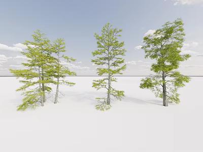 Three Different Arbor Trees With Green Foliage Against Blue Sky On White Ground 3d model