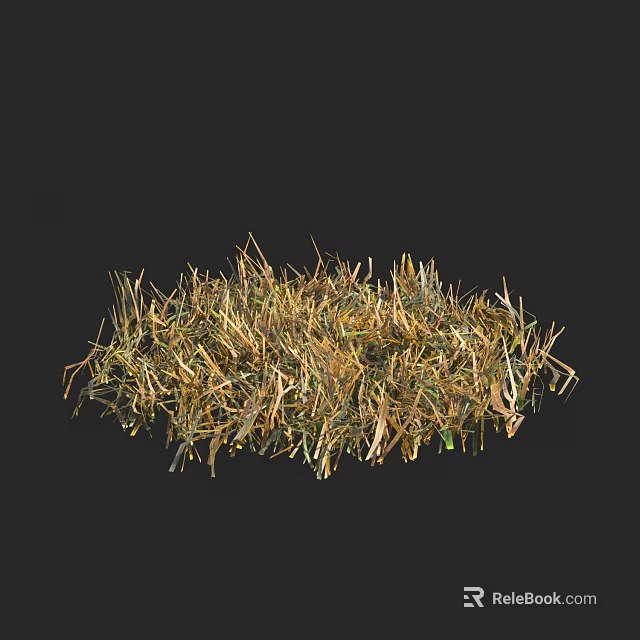 Natural Dry Grass Clump With Green And Yellow Leaves Organic Texture 3d model 