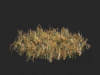 Natural Dry Grass Clump With Green And Yellow Leaves Organic Texture 3d model