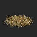 Natural Dry Grass Clump With Green And Yellow Leaves Organic Texture