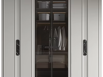 Modern Wardrobe Design With Glass Doors Hanging Space And Shelf Storage 3d model