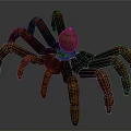 Realistic Brown Spider 3D Model With Textured Body And Long Legs