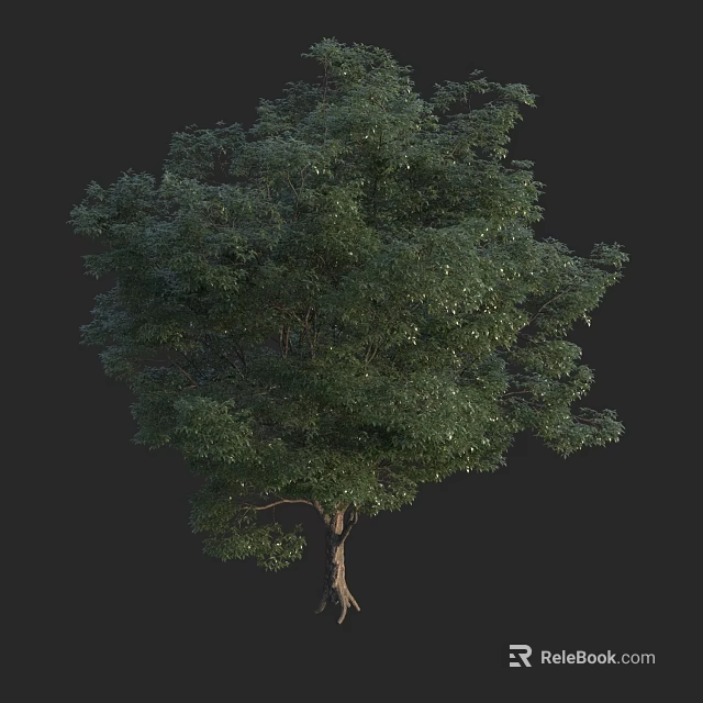 Healthy Lush Green Arbor Tree with Dense Foliage and Strong Trunk 3d model 