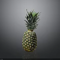 Fresh Ripe Pineapple With Green Leaves And Golden Textured Skin
