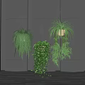 Hanging Basket Plants Indoor Decor with Greenery Against Gray Wall on Wooden Floor