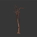 Dried Tree Branch With Bare Twigs And Natural Texture Isolated On White Background