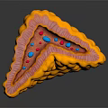 3D Rendered Biological Tissue Section Featuring Yellow Outer Layer Pink Middle and Blue Red Particles