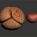 Large Orange Spotted Fruit Cut Open With Small Red Seed On Black Surface 3d model