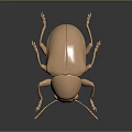 Shiny Golden Metallic Beetle with Reflection on Dark Background Close Up 3d model