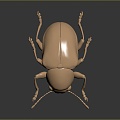 Modern Beetle Golden Flower Beetle Beetle Scarab 3d model