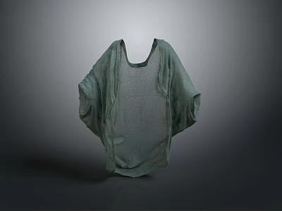 Green Loose Fit Top With Batwing Sleeves And Mesh Fabric Design 3d model