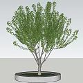 Landscape tree peach tree pool 3d model