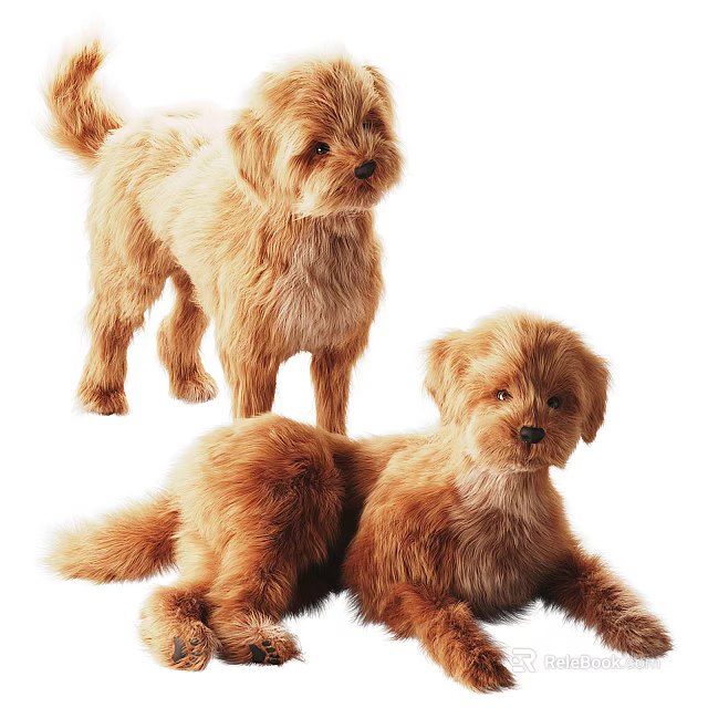 Two Brown Reptiles One Standing And One Resting On White Surface 3d model 