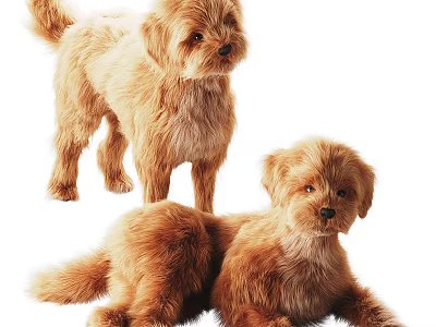Modern Pet Dog 3d model