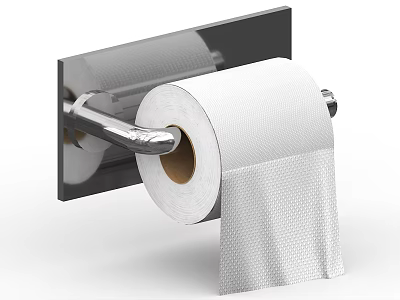 Bathroom Accessories Wall Mounted Toilet Paper Holder Stainless Steel Modern Design with Tissue Roll 3d model
