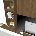 Modern Wooden TV Cabinet With Open Shelves Decorative Frames And Potted Plant