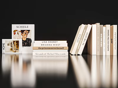 Neat Books And Magazines Display With Stacked Volumes And Visible Cover Titles 3d model