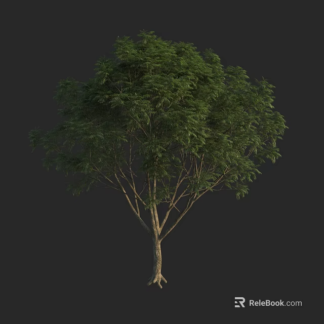 Realistic Arbor 3D Model With Green Leaves And Brown Trunk On Black Background 3d model 