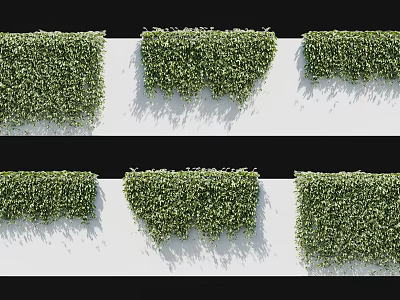 Lush Green Climbing Vines Covering White Wall in Various Natural Growth Patterns 3d model
