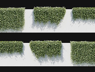 Modern Spring Matta Vine Climbing Wall Plant Evergreen Matta Cattle Horse Vine Big Blood Vine Cotton Hemp Vine Creeper Vine Plant Climbing Wall Green Plant Herbaceous 3d model