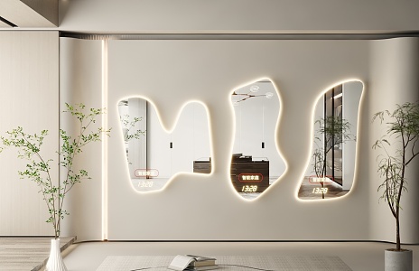 Modern Mirror Dressing Mirror Art Mirror Alien Mirror Floor Mirror Irregular Mirror Full-length Mirror 3d model