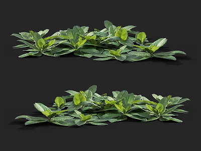 Lush Green Garden Plants With Fresh Leaves And Clustered Growth In Natural Setting 3d model
